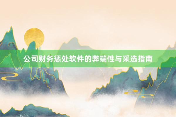 公司财务惩处软件的弊端性与采选指南