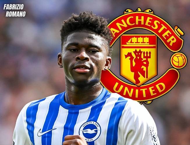 【球员介绍系列】布莱顿巴莱巴插图